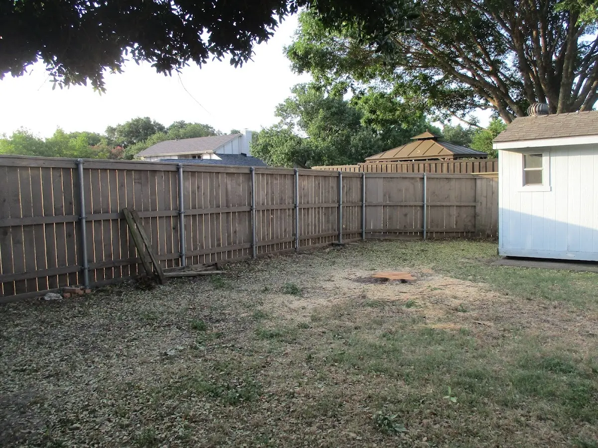 Cleared yard after professional tree removal in Manns Harbor